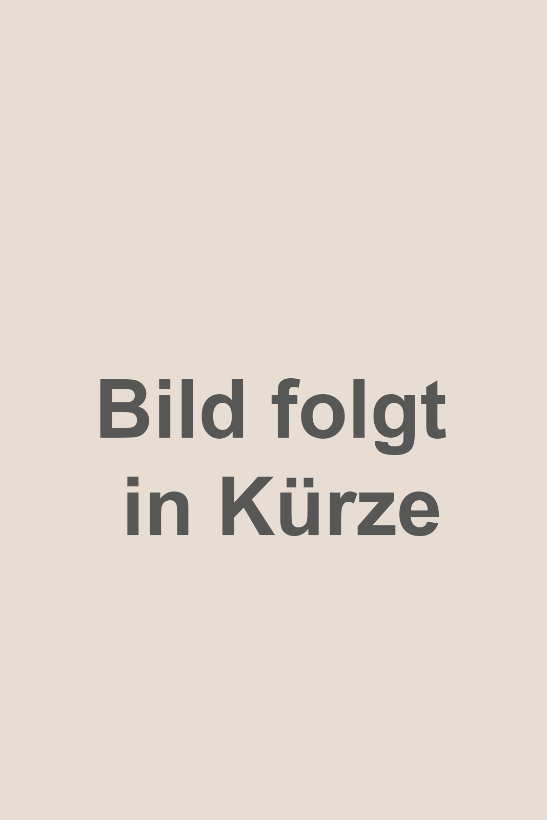Bild_folgt_HON_neutral_032026